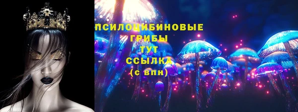 молекула духа Белоозёрский