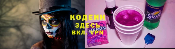 молекула духа Белоозёрский