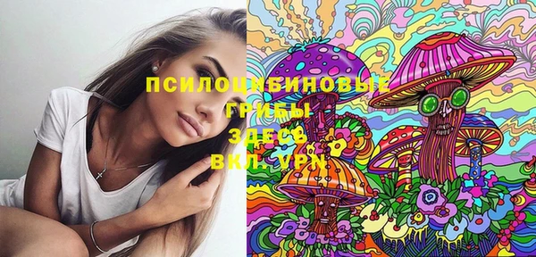 MDMA Белокуриха