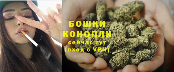 молекула духа Белоозёрский